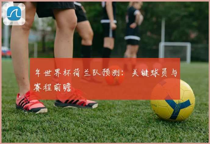 年世界杯荷兰队预测：关键球员与赛程前瞻