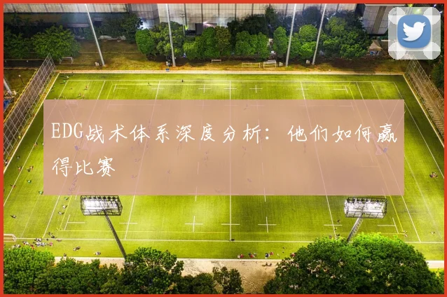 EDG战术体系深度分析：他们如何赢得比赛